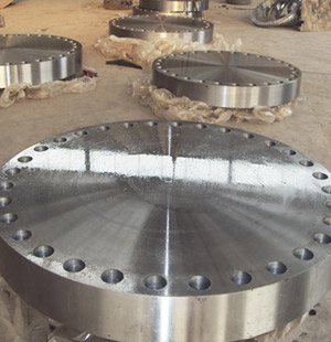 Stainless Blind Flange